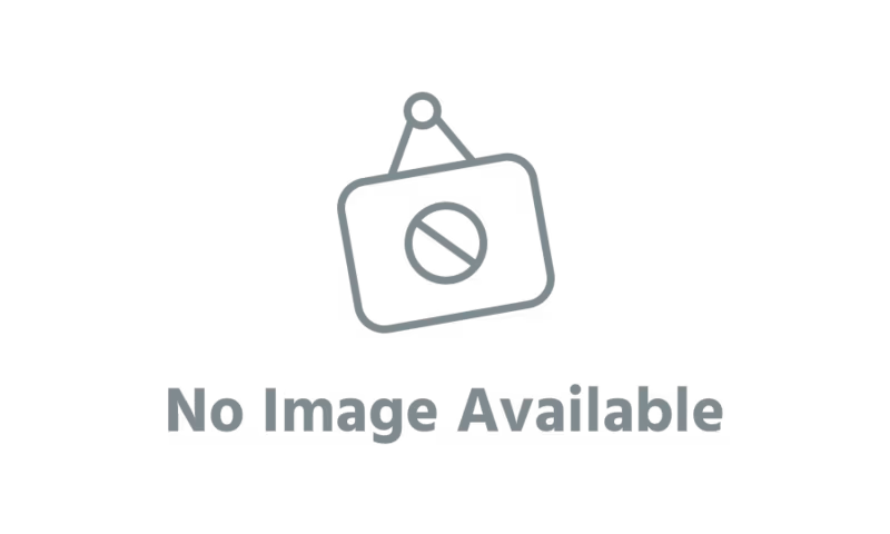 WiseTechSolution internal reports system